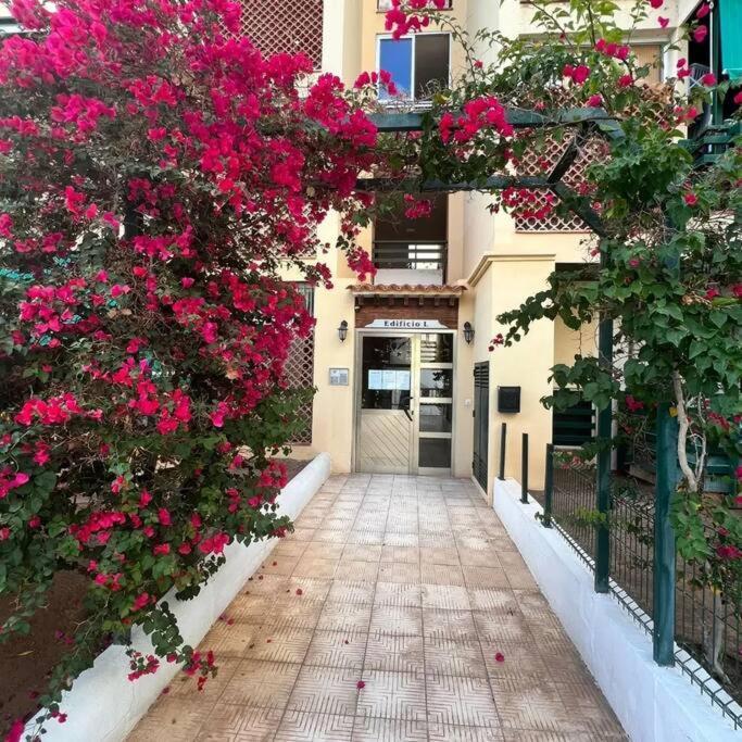 Apartman Los Cristianos-Cristimar Los Cristianos  Zewnętrze zdjęcie